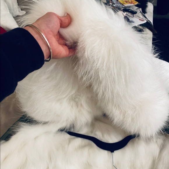 Mr & Mrs Italy Jackets & Blazers - Mr & Mrs Italy Fur lined jacket. So Cute